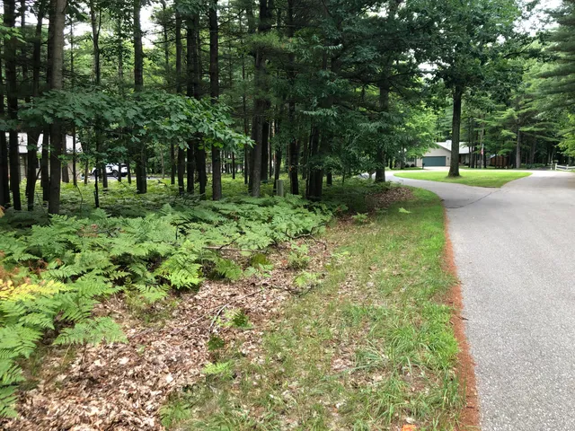 $7,500 | 6807 Beechnut Court, Stanwood, MI 49346