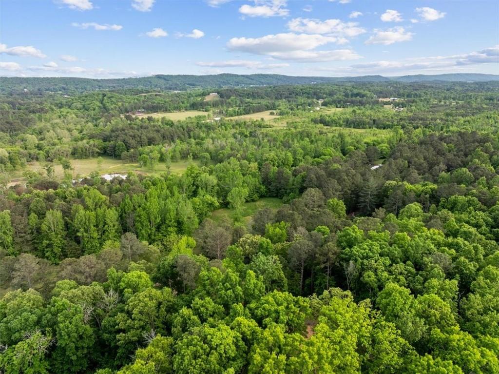 307 Moores Ferry Road Southwest Plainville, GA 30733 - Photo 7 of 14