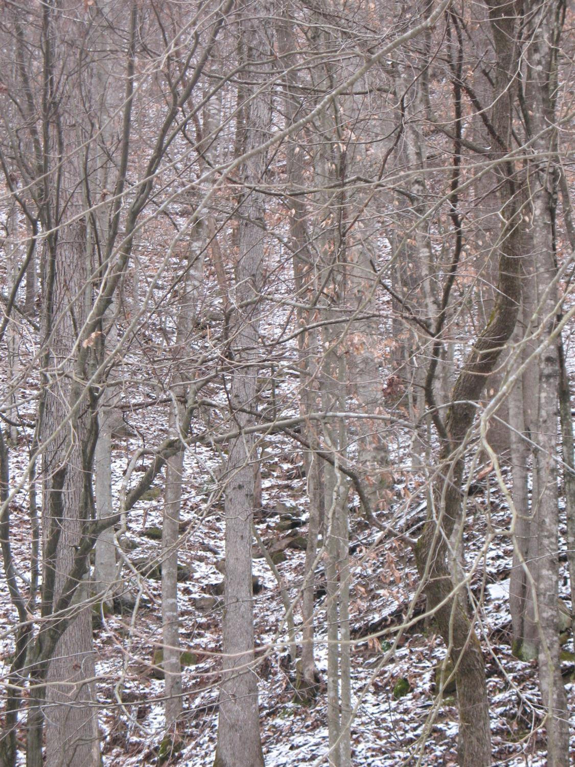 789 Darby Branch Road Manchester, KY 40962 - Photo 9 of 12 Photo 9