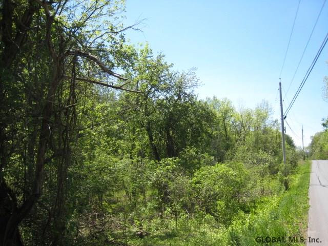 47 Factory Hollow Road Pittstown, NY 12185 - Photo 1 of 25 Photo 1