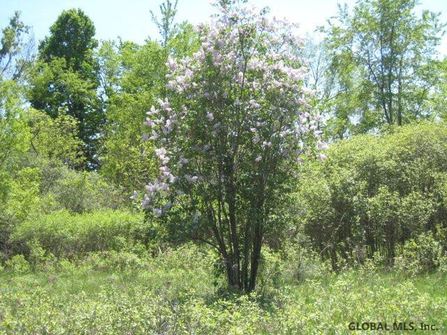 47 Factory Hollow Road Pittstown, NY 12185 - Photo 15 of 25 Photo 15