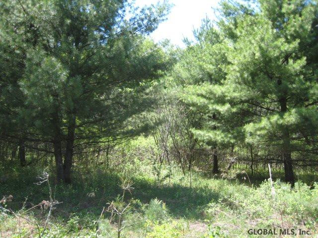 47 Factory Hollow Road Pittstown, NY 12185 - Photo 17 of 25 Photo 17