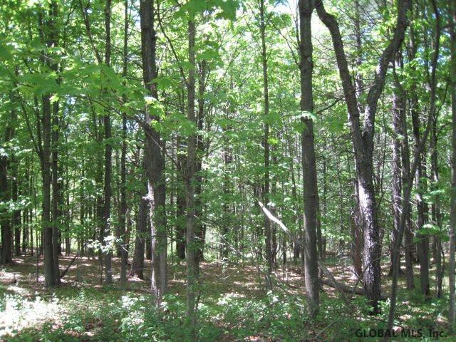 47 Factory Hollow Road Pittstown, NY 12185 - Photo 19 of 25 Photo 19