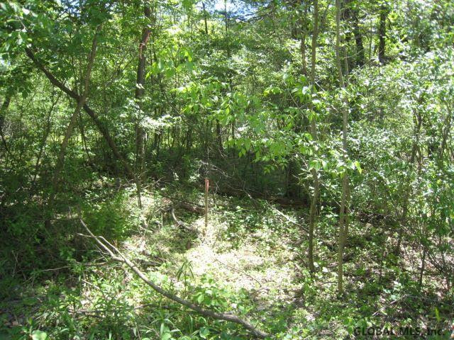 47 Factory Hollow Road Pittstown, NY 12185 - Photo 2 of 25 Photo 2