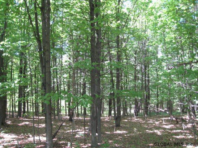 47 Factory Hollow Road Pittstown, NY 12185 - Photo 21 of 25 Photo 21