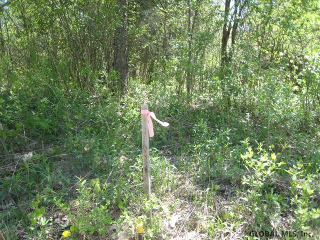 47 Factory Hollow Road Pittstown, NY 12185 - Photo 24 of 25 Photo 24