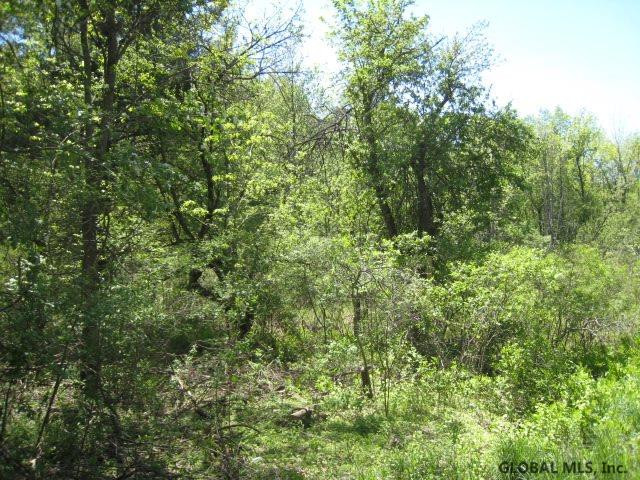 47 Factory Hollow Road Pittstown, NY 12185 - Photo 3 of 25 Photo 3
