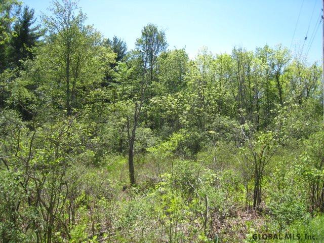 47 Factory Hollow Road Pittstown, NY 12185 - Photo 4 of 25 Photo 4