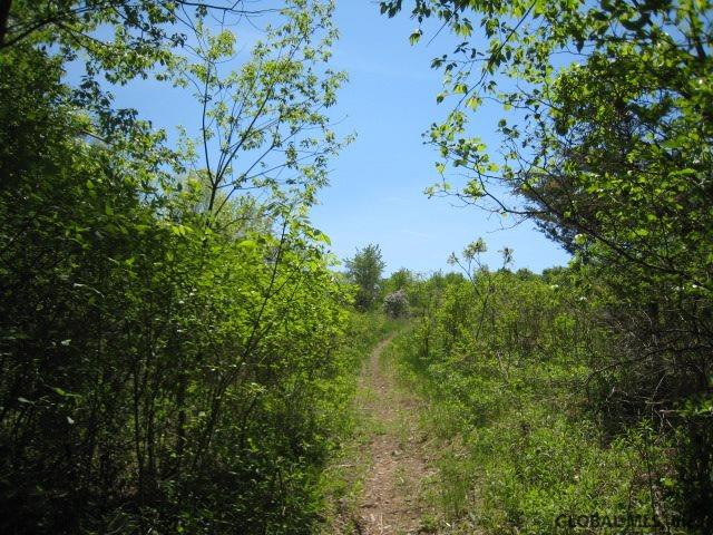 47 Factory Hollow Road Pittstown, NY 12185 - Photo 7 of 25 Photo 7