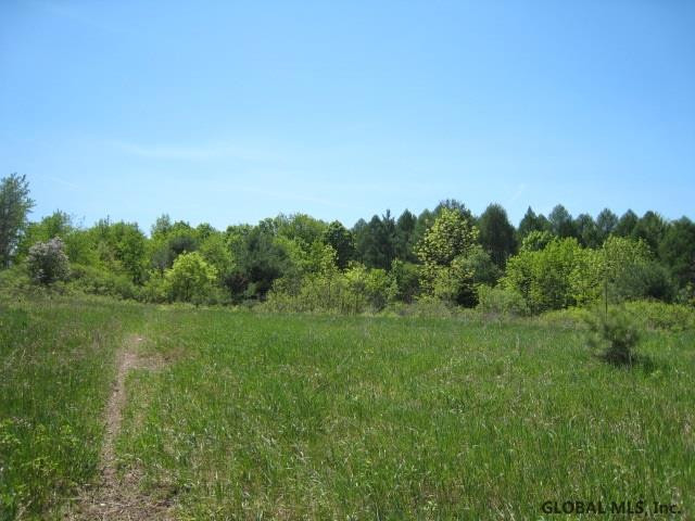 47 Factory Hollow Road Pittstown, NY 12185 - Photo 8 of 25 Photo 8
