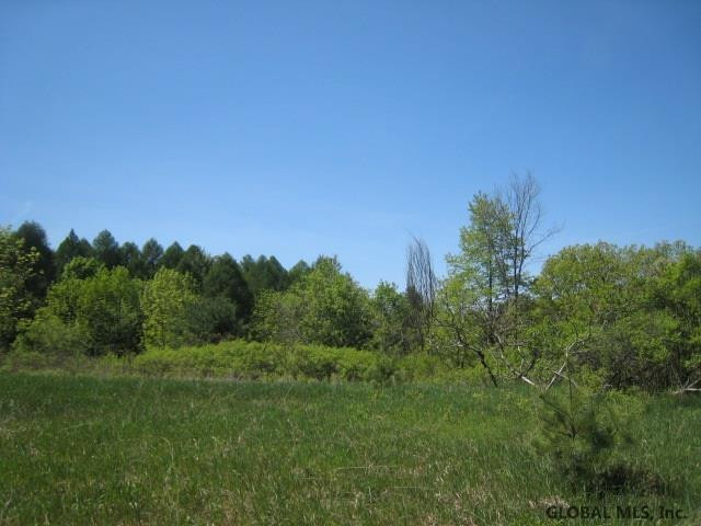 47 Factory Hollow Road Pittstown, NY 12185 - Photo 10 of 25 Photo 10