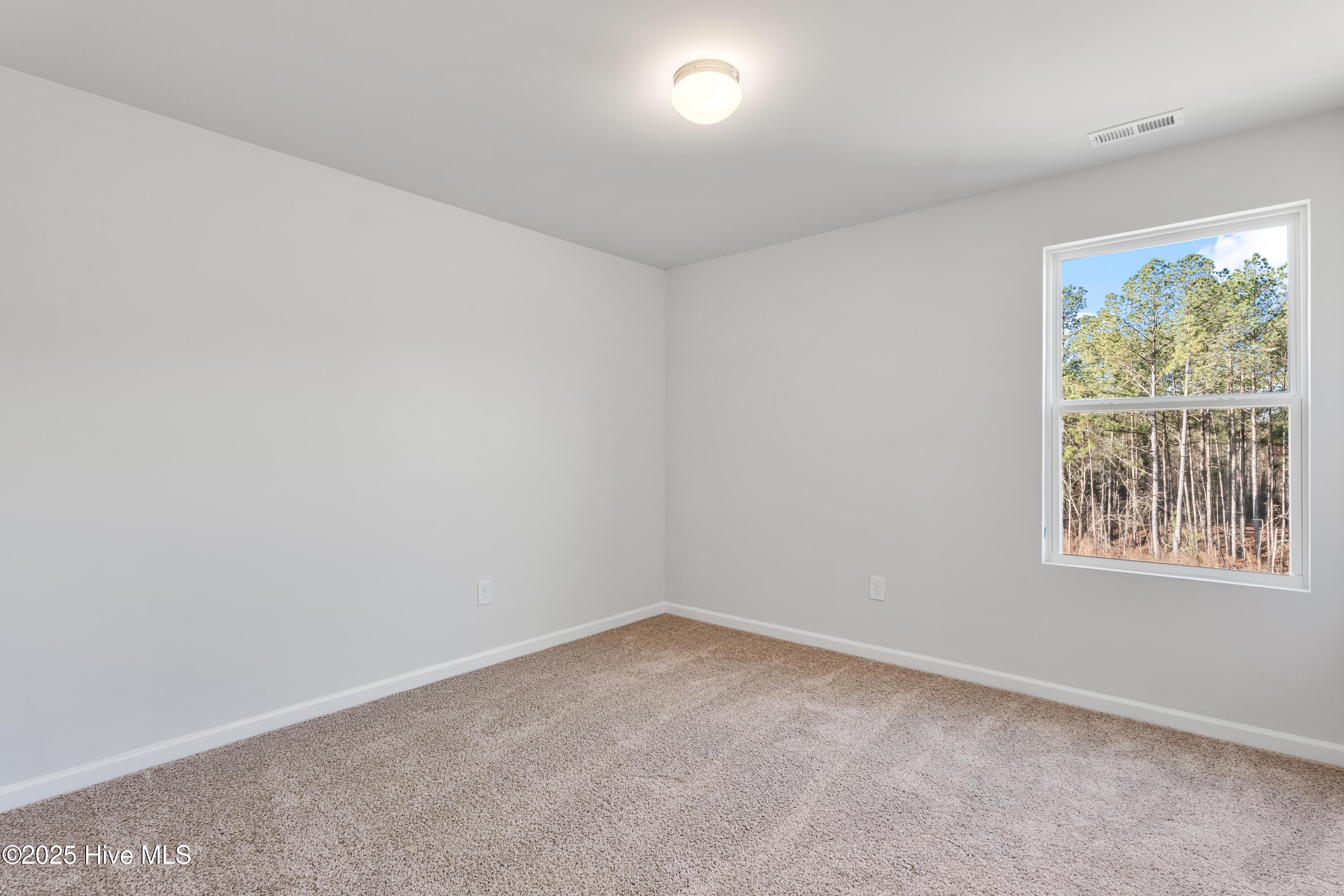 433 Deep River Road Aberdeen, NC 28315 - Photo 20 of 29 Fay_Taiz_Lot19 (19) (1)