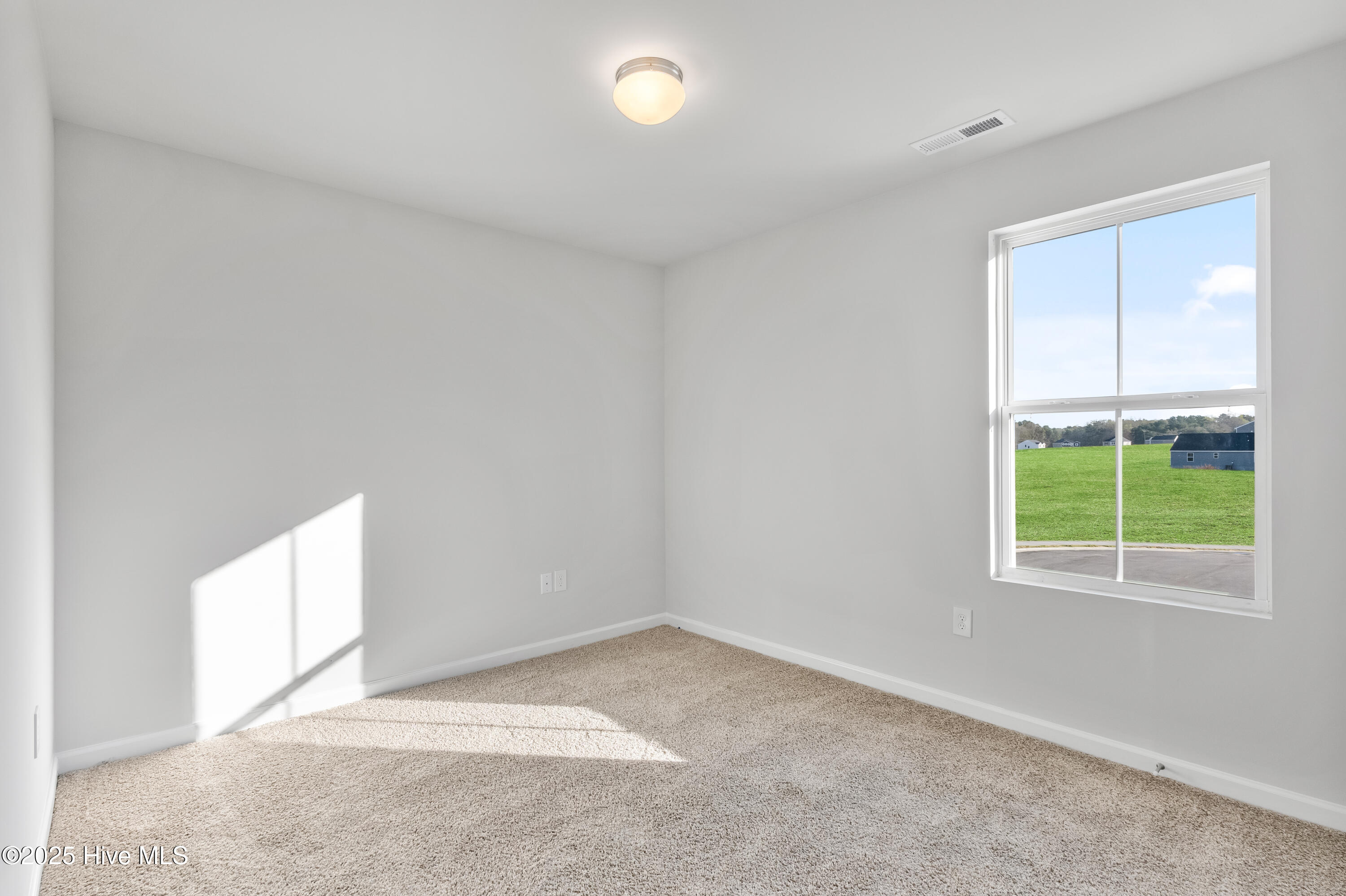 433 Deep River Road Aberdeen, NC 28315 - Photo 28 of 29 Fay_Taiz_Lot19 (27) (1)