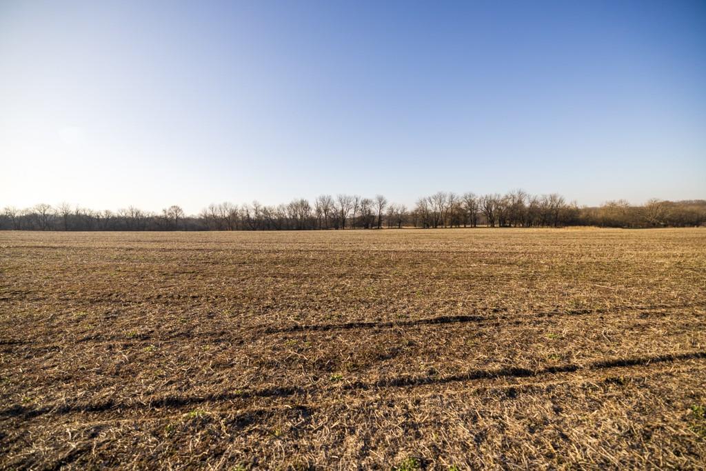 1234 East 335th Street Archie, MO 64725 - Photo 7 of 33