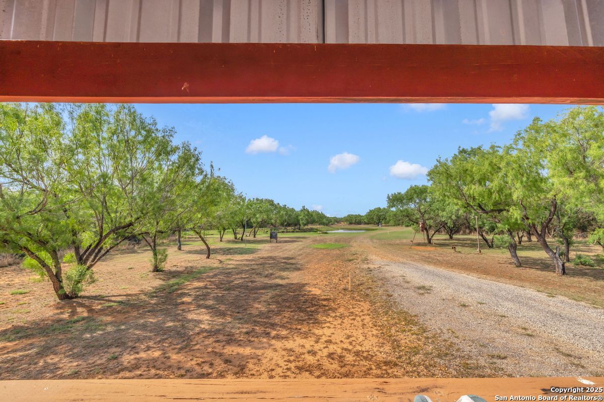 2654 Mathews Rnch Road Dilley, TX 78017 - Photo 11 of 39 a view of a yard