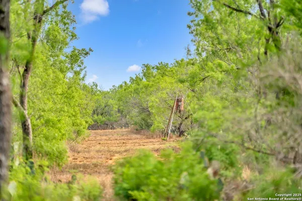 a swimming pool with trees in the background