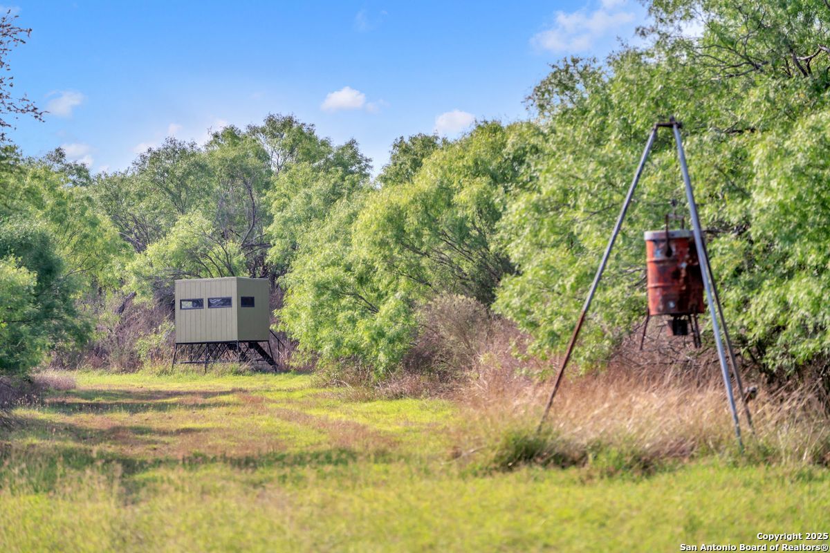 2654 Mathews Rnch Road Dilley, TX 78017 - Photo 14 of 39 a swimming pool with trees in the background