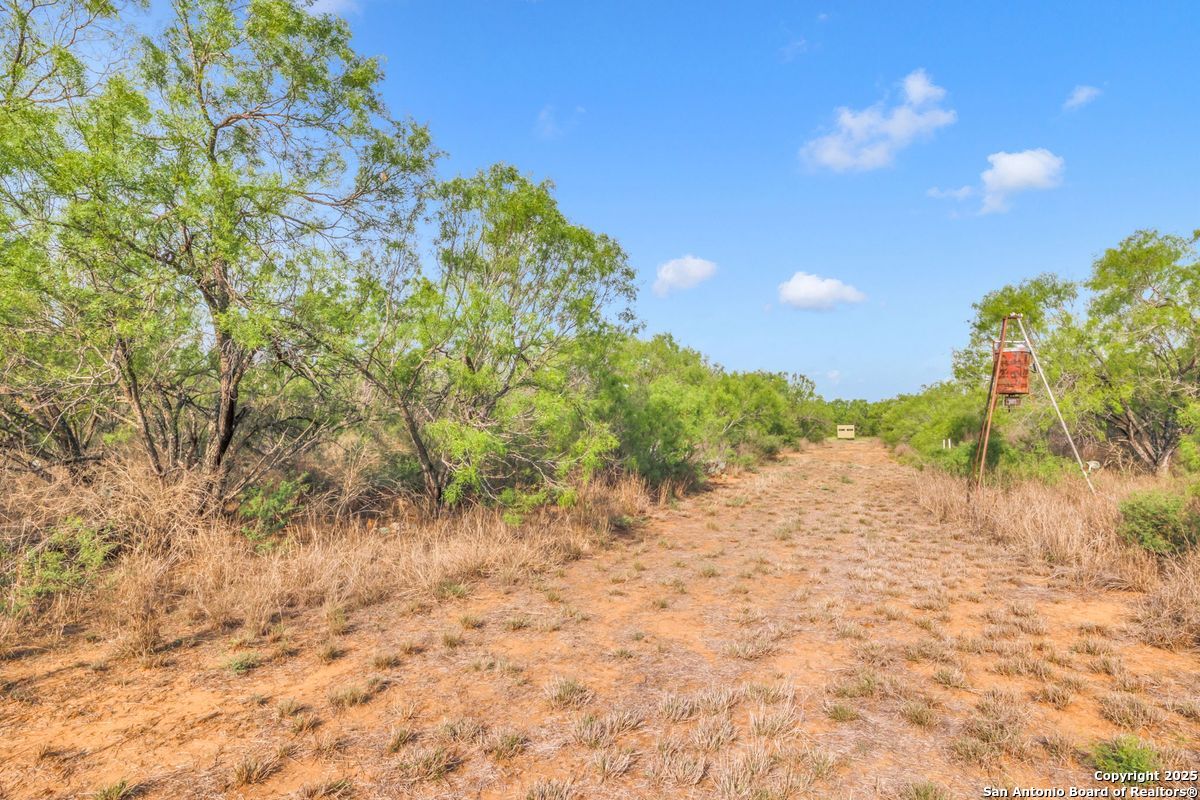 2654 Mathews Rnch Road Dilley, TX 78017 - Photo 22 of 39 a view of a dry yard with trees