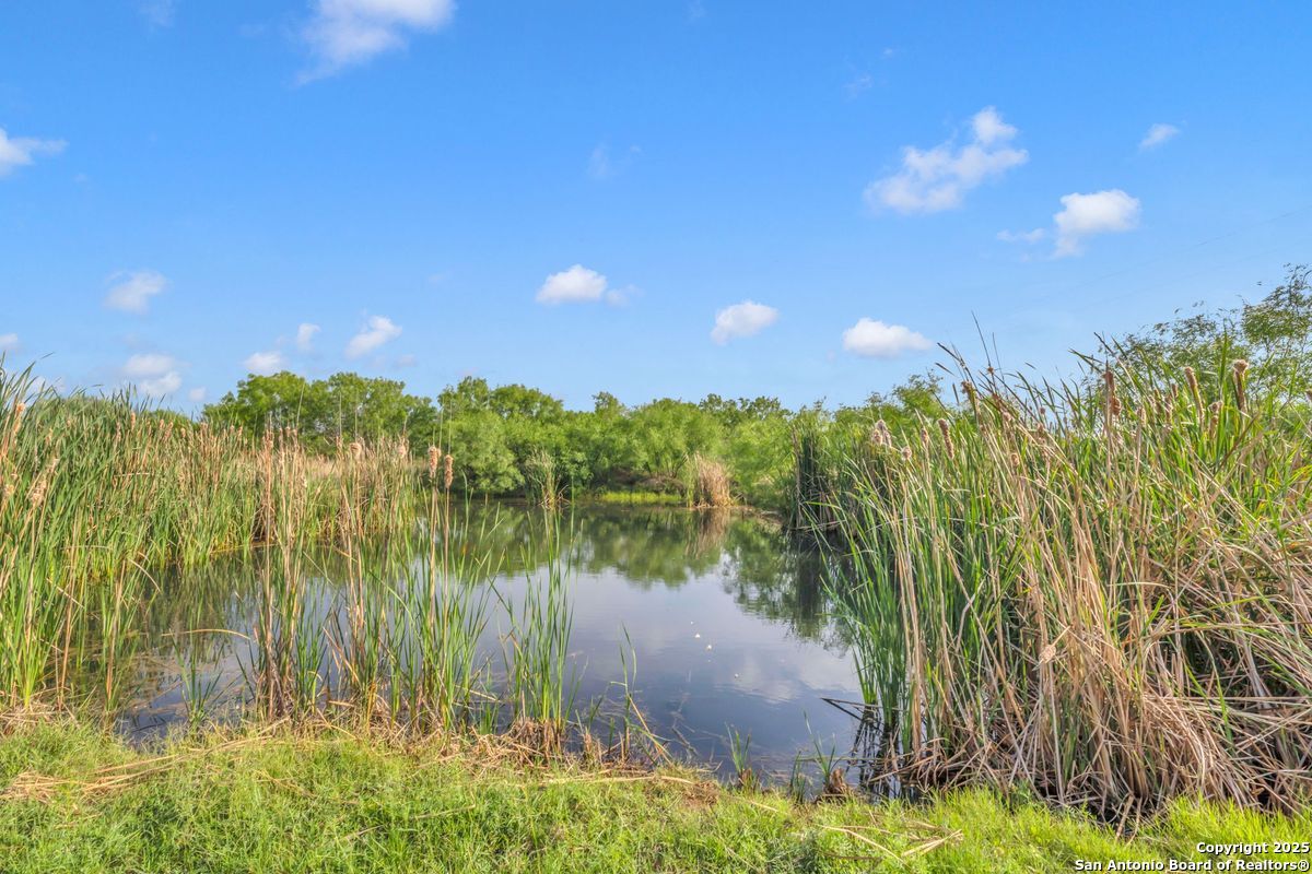 2654 Mathews Rnch Road Dilley, TX 78017 - Photo 23 of 39 a view of a lake in between the bunch of trees