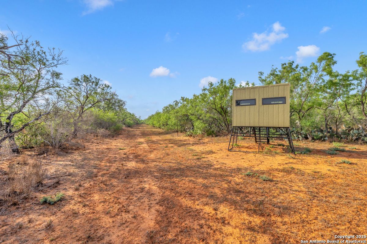 2654 Mathews Rnch Road Dilley, TX 78017 - Photo 26 of 39 a backyard of a house with table and chairs