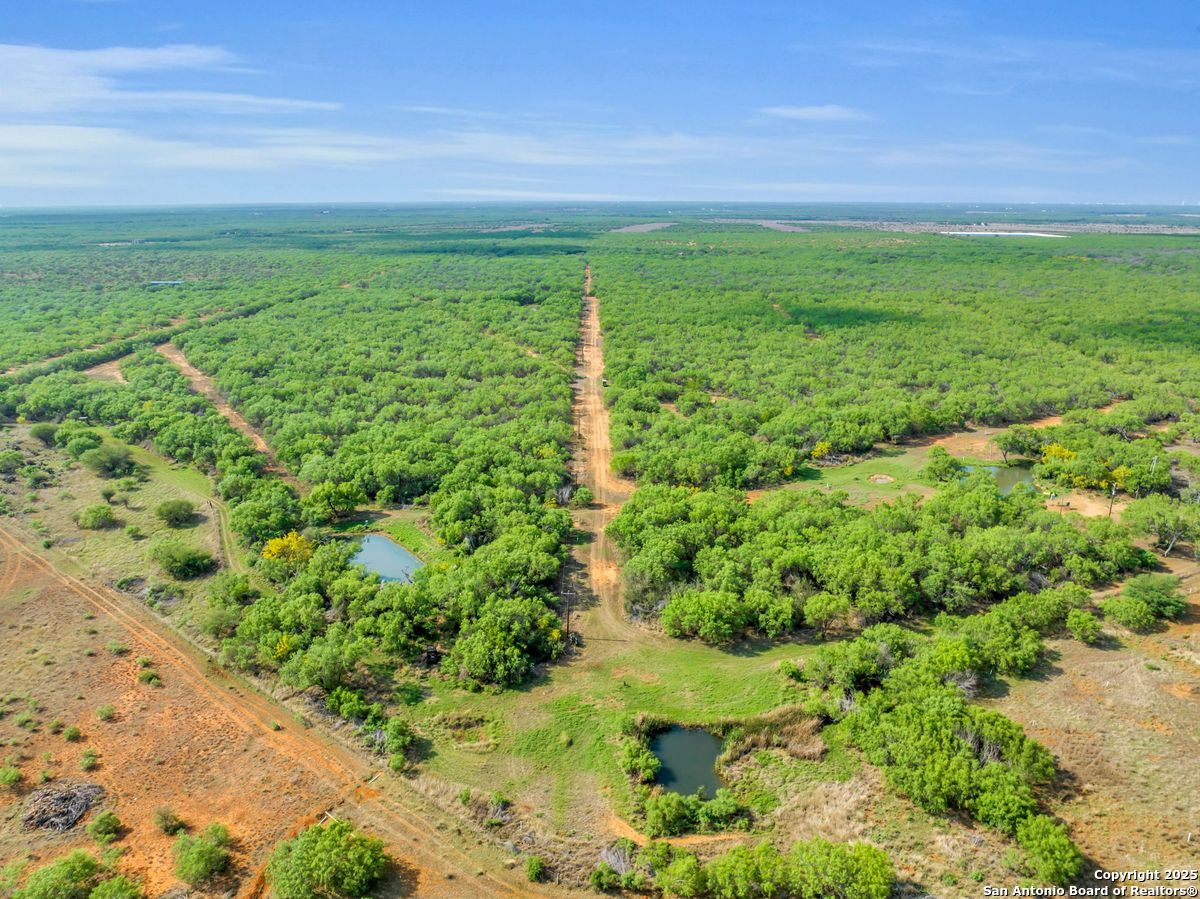 2654 Mathews Rnch Road Dilley, TX 78017 - Photo 5 of 39 a view of yard with green space