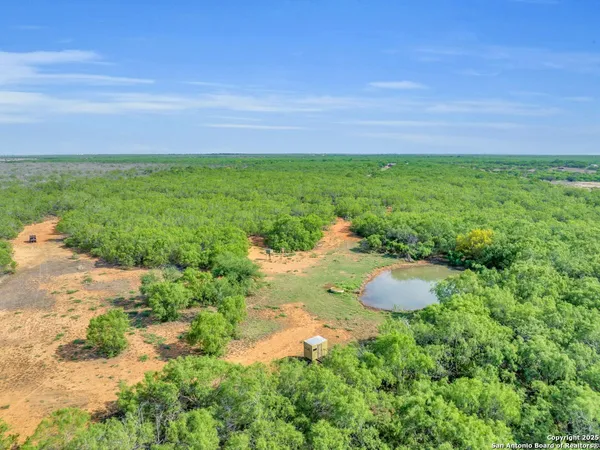 a view of a yard with car parked
