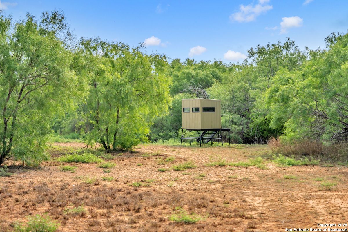2654 Mathews Rnch Road Dilley, TX 78017 - Photo 9 of 39