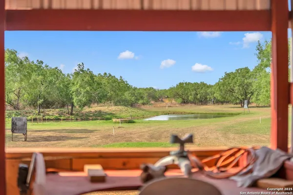 a view of backyard with tree