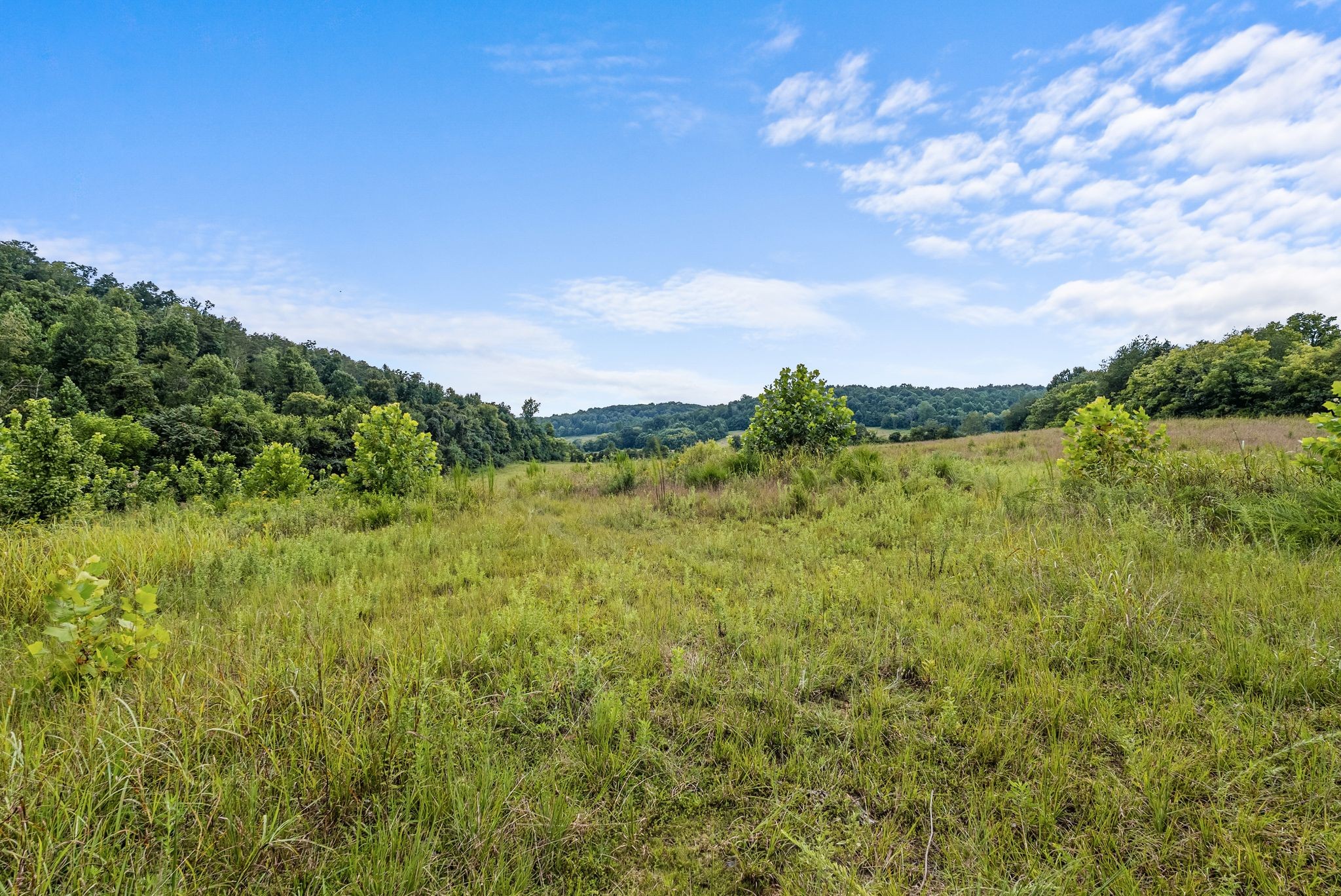 0 Sparkman Town-Bone Cave Road Doyle, TN 38559 - Photo 63 of 77 Gallery Image 63
