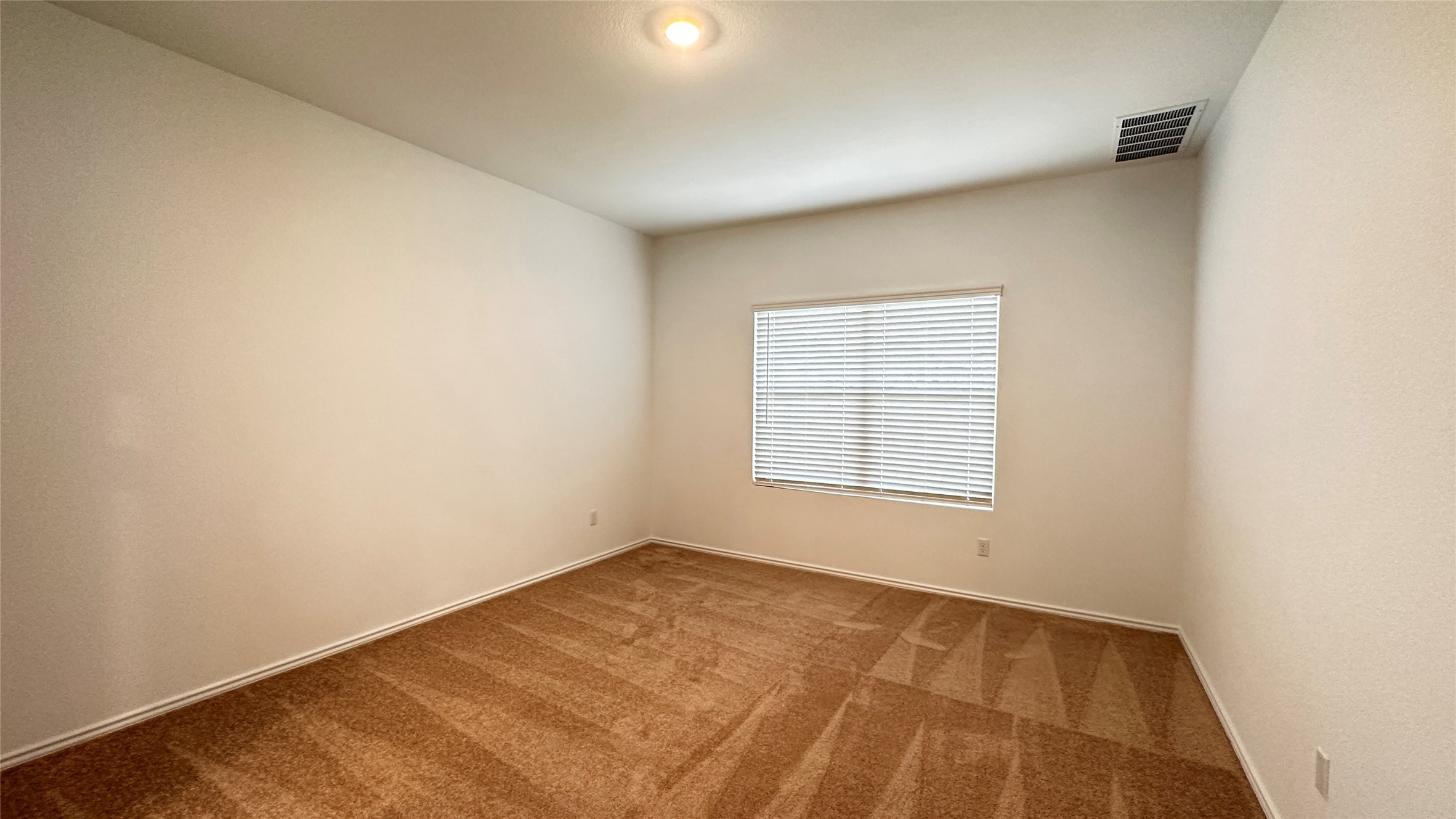 138 Milliner Loop Hutto, TX 78634 - Photo 13 of 36 room with carpet and baseboards
