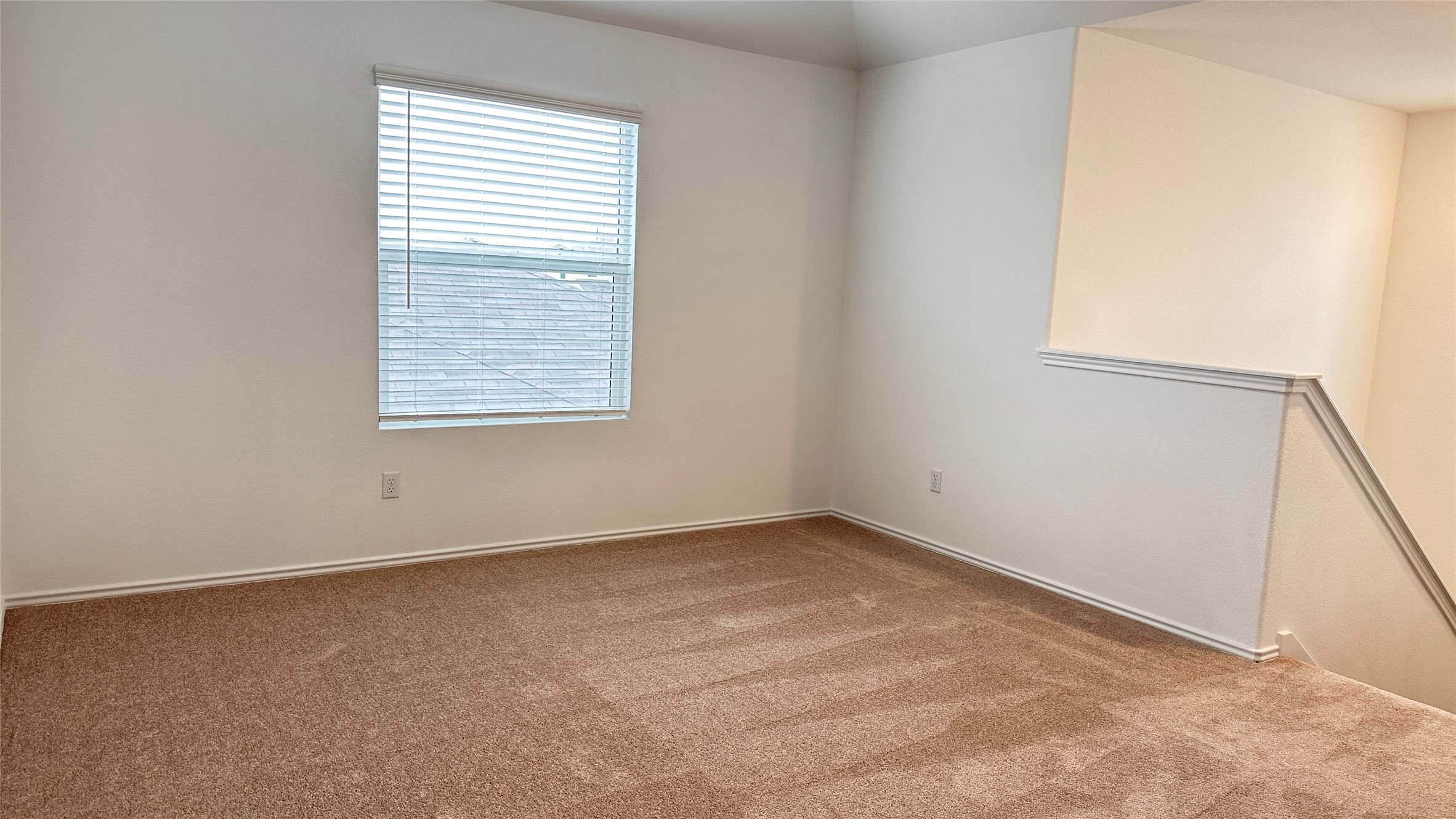 138 Milliner Loop Hutto, TX 78634 - Photo 20 of 36 Unfurnished room featuring carpet and baseboards