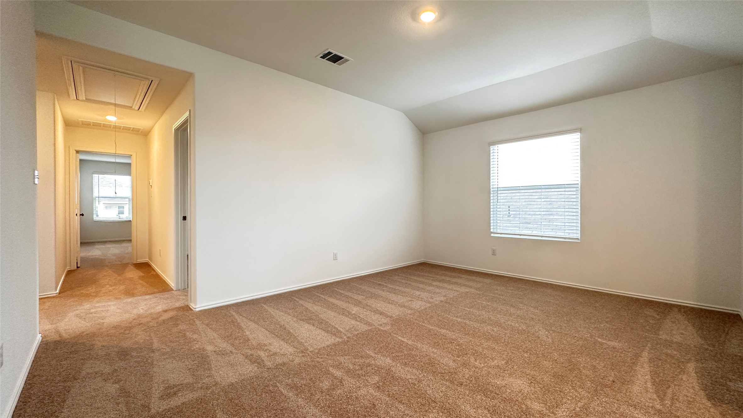 138 Milliner Loop Hutto, TX 78634 - Photo 22 of 36 Unfurnished room with light carpet and vaulted ceiling