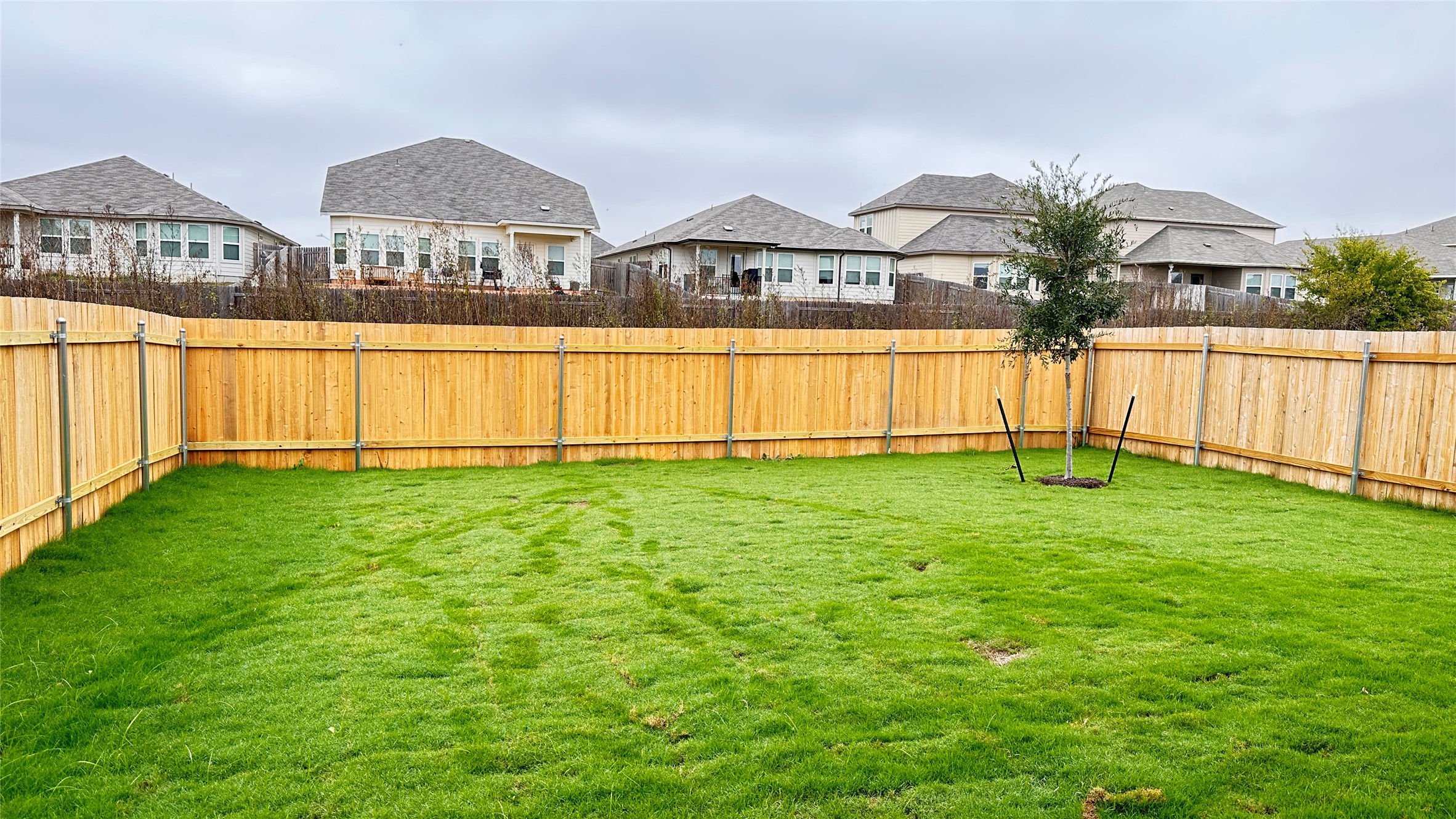 138 Milliner Loop Hutto, TX 78634 - Photo 36 of 36 Fenced backyard featuring a residential view