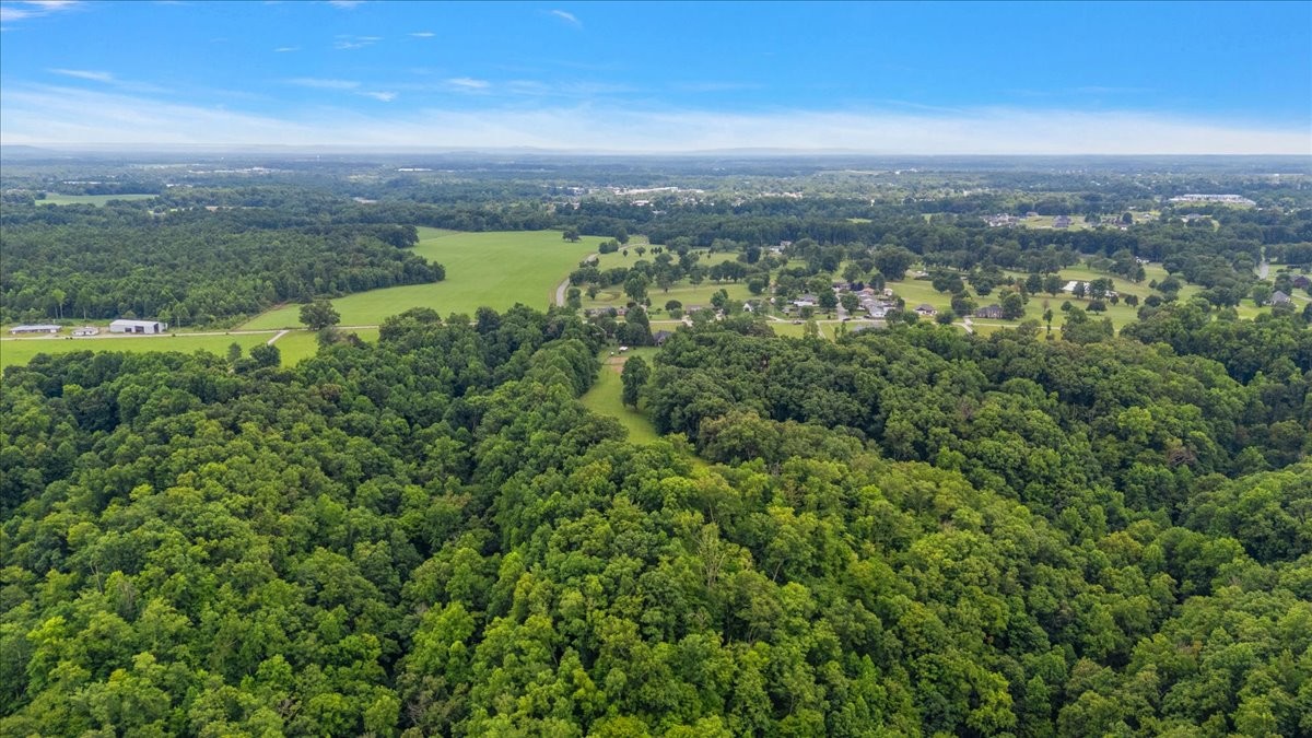 2309 Allen Ferry Road Smithville, TN 37166 - Photo 66 of 75