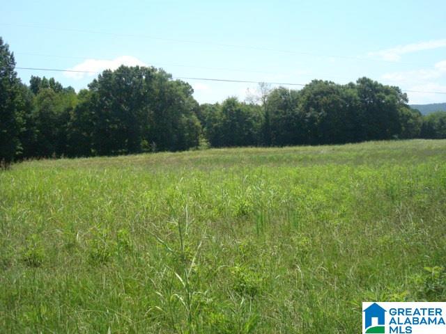 0 Dabbs Road, Unit 19 & 20 Oxford, AL 36203 - Photo 3 of 33