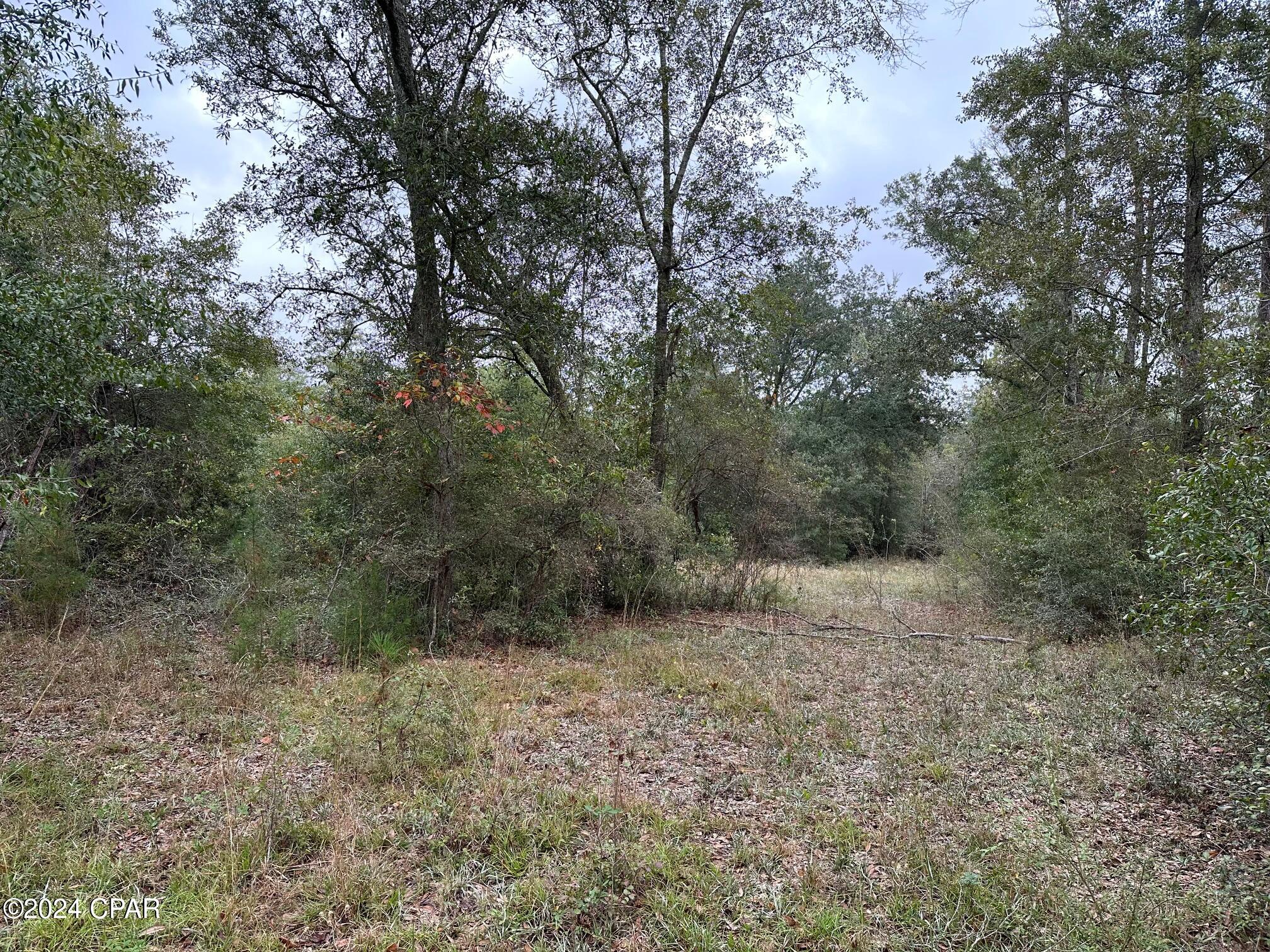 0 Baxter Road Malone, FL 32445 - Photo 2 of 11 Gallery Image 2