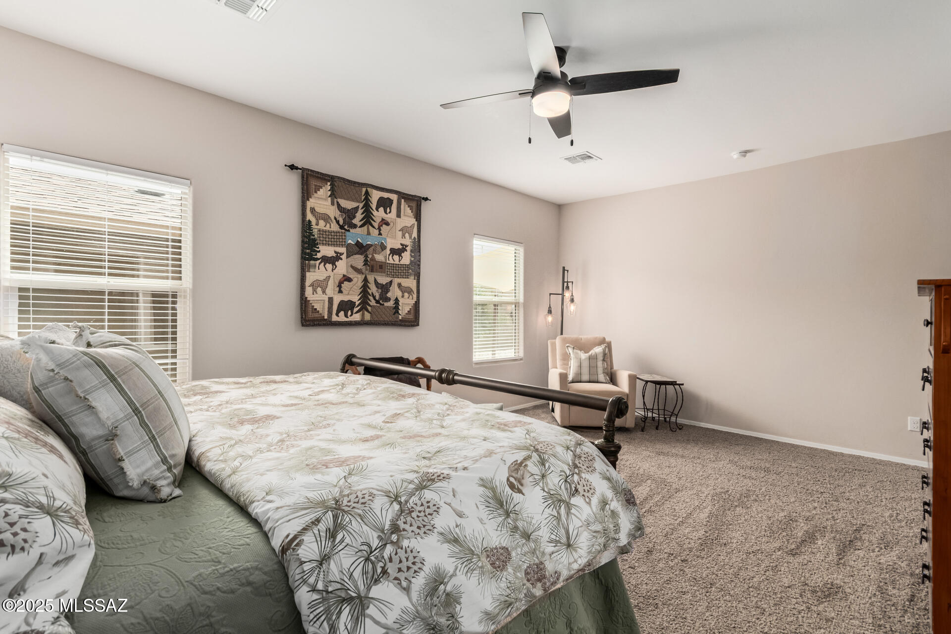 8879 West Blakebrook Road Marana, AZ 85653 - Photo 22 of 43