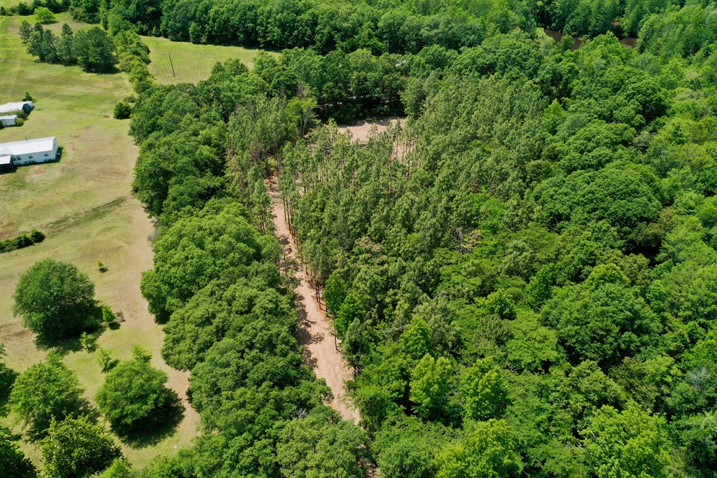0 South Watford Road Slocomb, AL 36375 - Photo 5 of 14