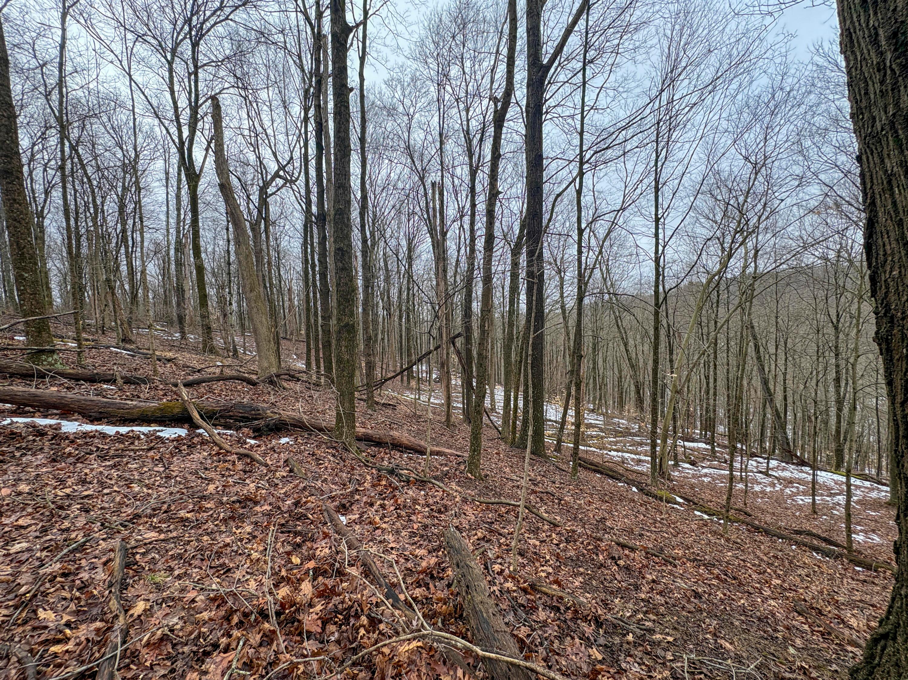 4 Twp Road Woodsfield, OH 43793 - Photo 21 of 31 Tract 4_TD-22