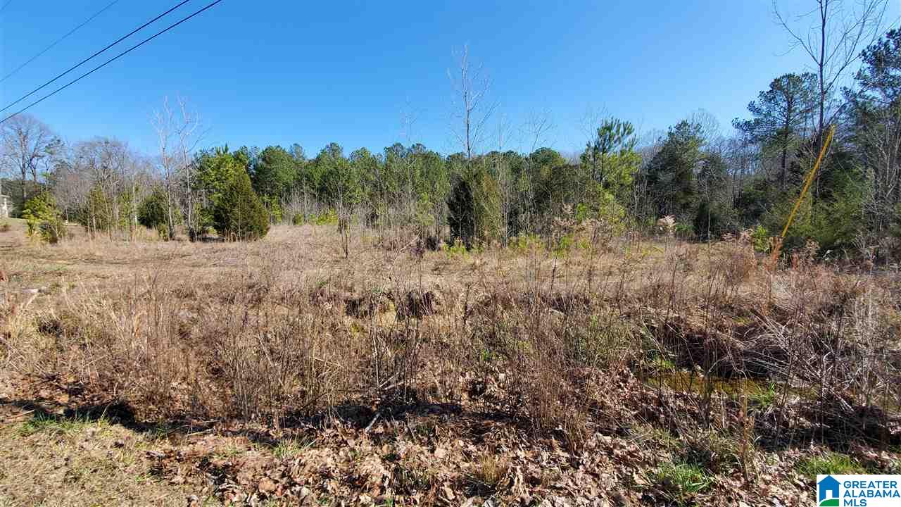 400 Eaglewood Farms Road, Unit 4A Alabaster, AL 35114 - Photo 1 of 4