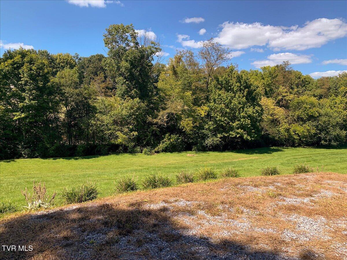 965 Old Gray Station Road Johnson City, TN 37615 - Photo 74 of 143 074-965_OldGrayStation-101