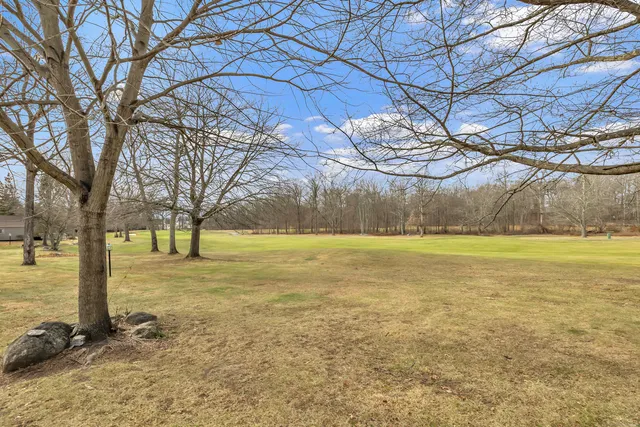 a view of yard with large trees