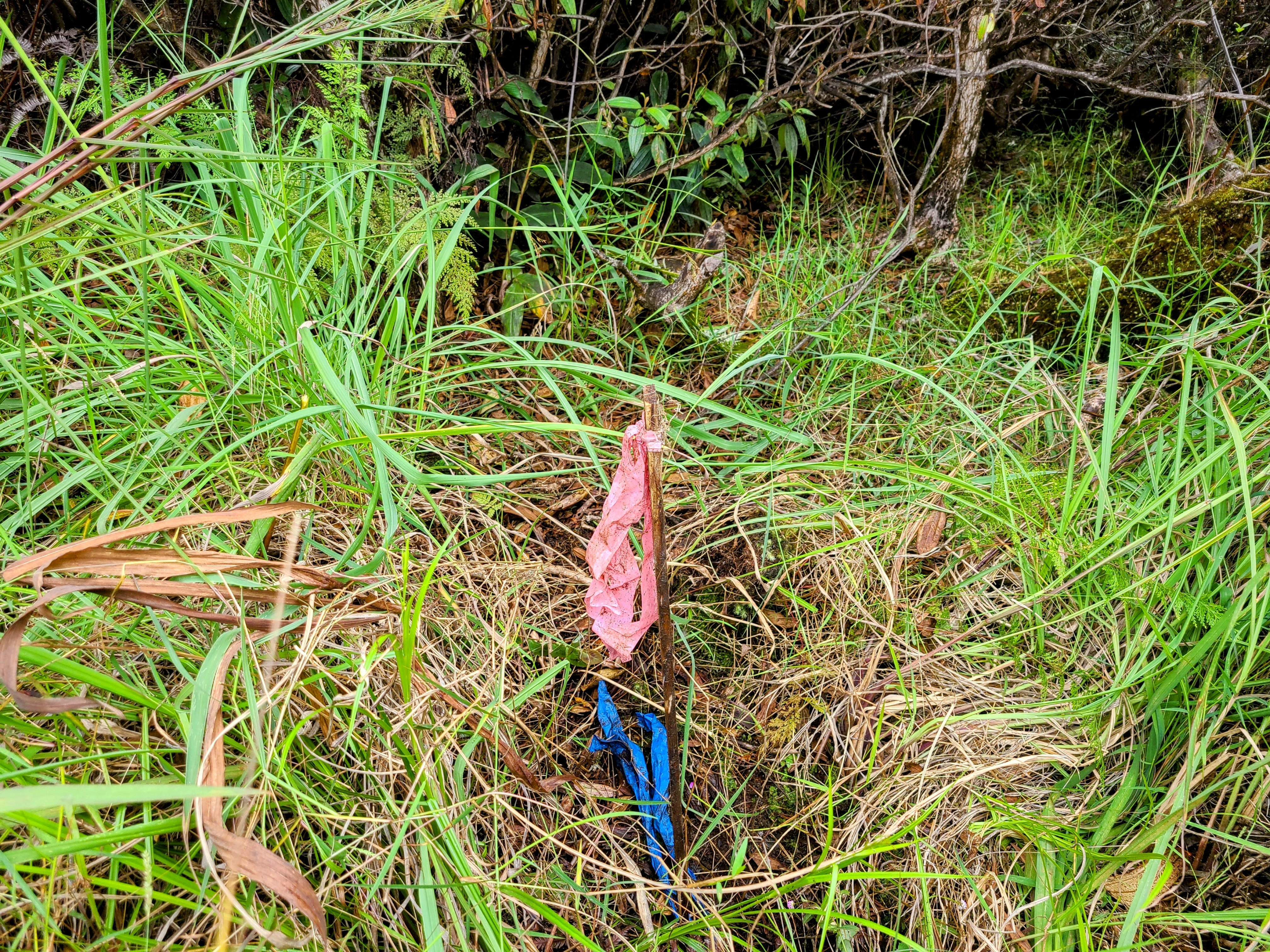 14 Kaleponi Road Mountain View, HI 96771 - Photo 10 of 12 unknown