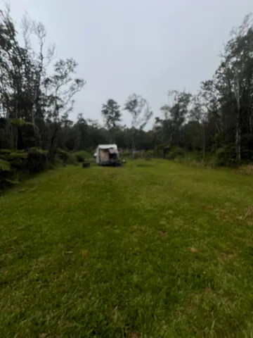 a view of a tiny house with a yard