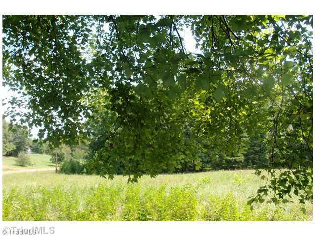 1849 Greenfield Road Walnut Cove, NC 27052 - Photo 14 of 15 Land.
