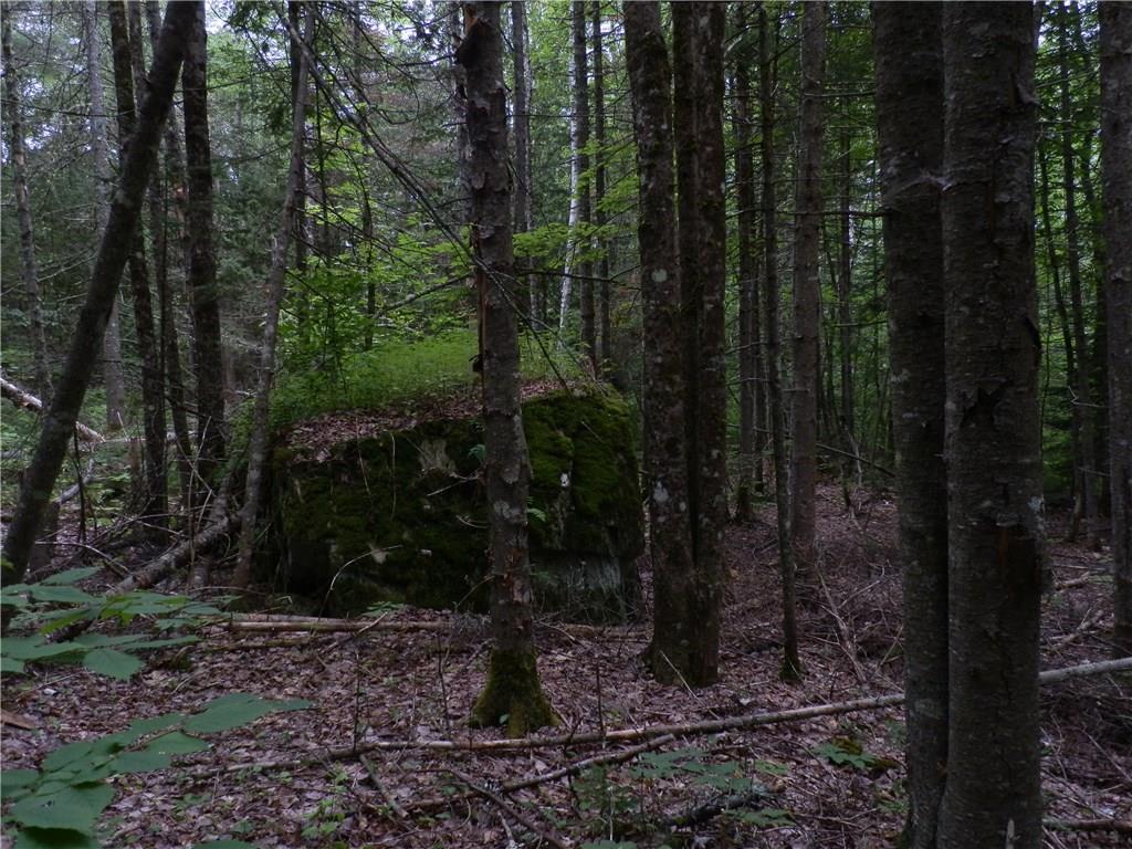 0 Chapman Road Newburgh, ME 04444 - Photo 18 of 26 Photo