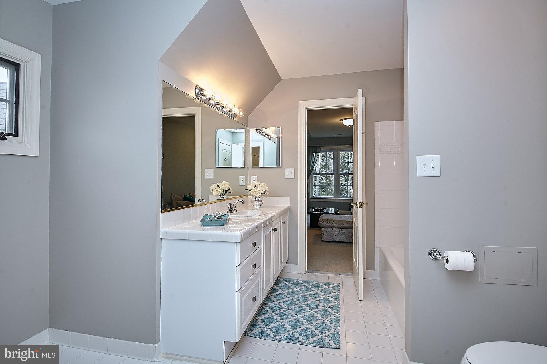 14923 Alpine Bay Loop Gainesville, VA 20155 - Photo 18 of 29 Jack and Jill Bathroom