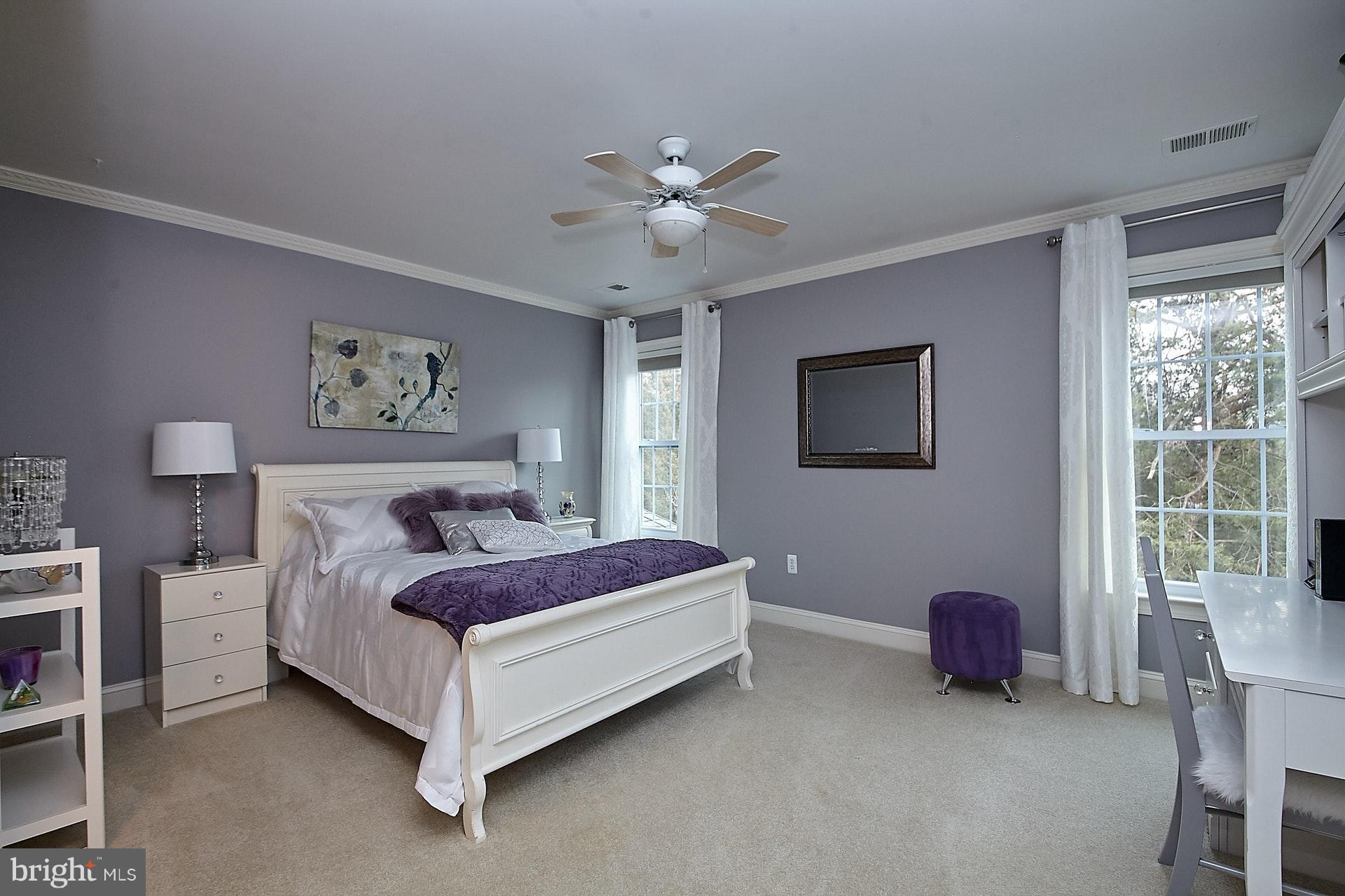 14923 Alpine Bay Loop Gainesville, VA 20155 - Photo 20 of 29 Princess Bedroom
