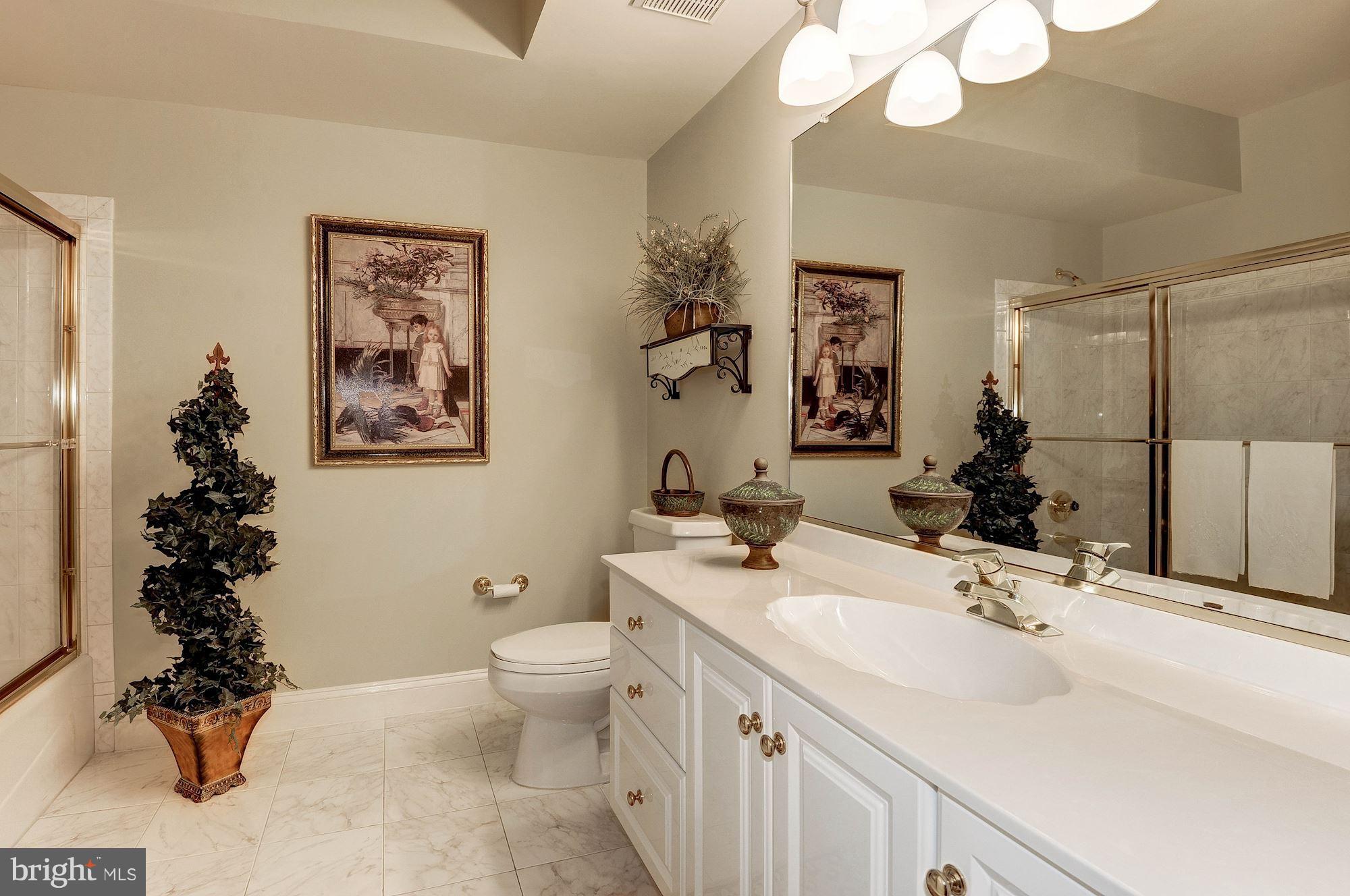 14923 Alpine Bay Loop Gainesville, VA 20155 - Photo 23 of 29 Basement Bathroom