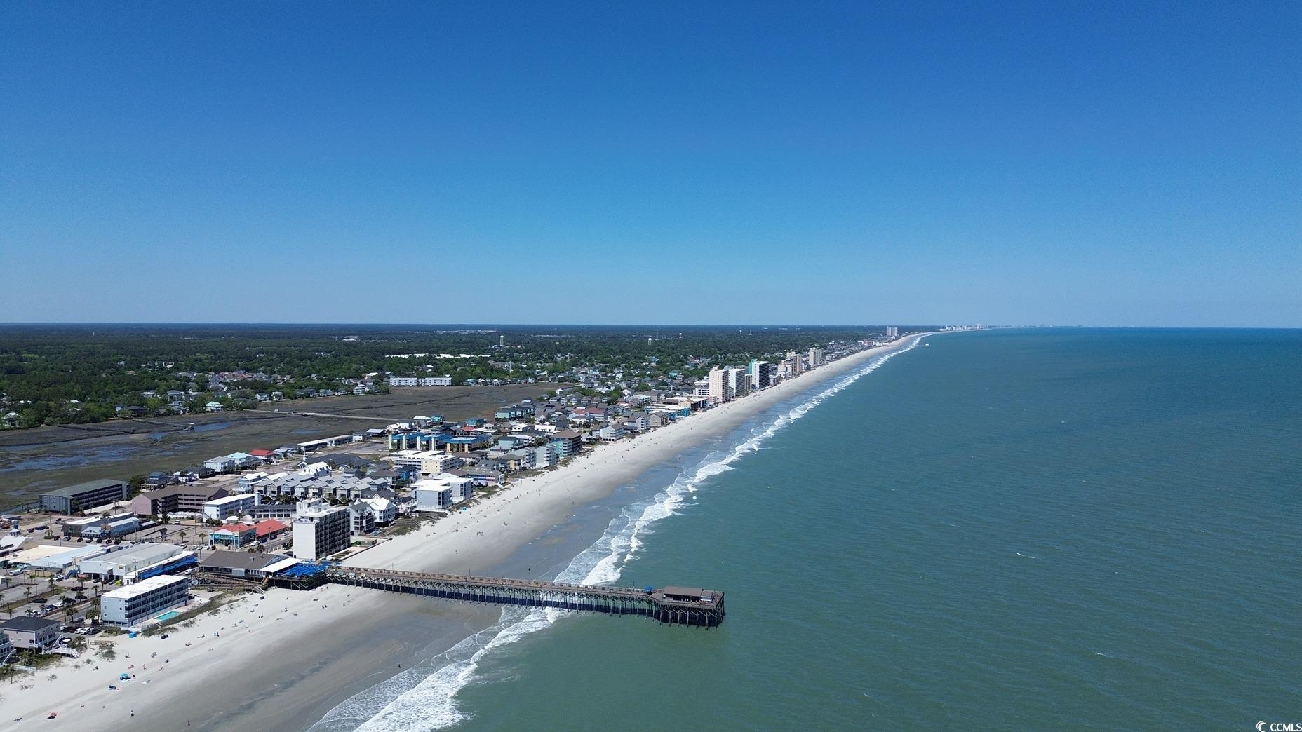 202 Dagger Court Myrtle Beach, SC 29588 - Photo 33 of 33 Bird's eye view of unending shoreline